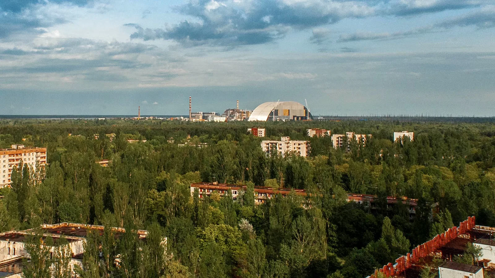 Chernobyl Exclusion Zone Emerges as a Haven for Large Mammals