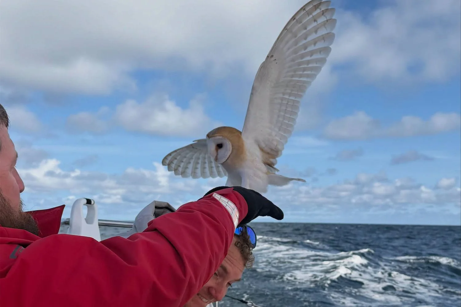 Owl Survives 70 Miles at Sea, Rescued by British Army Crew During Race