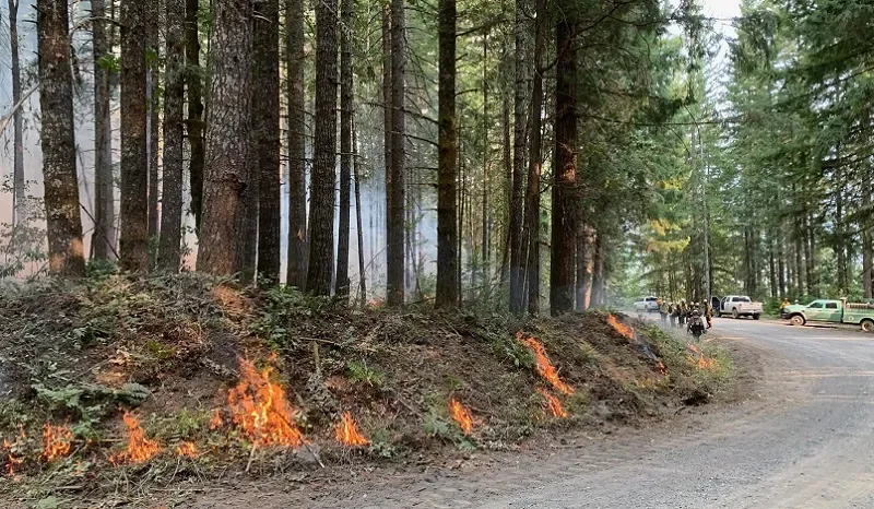 "Wildfires Ravage West Coast: Oregon, Washington, and Northern California Battle Blazes"