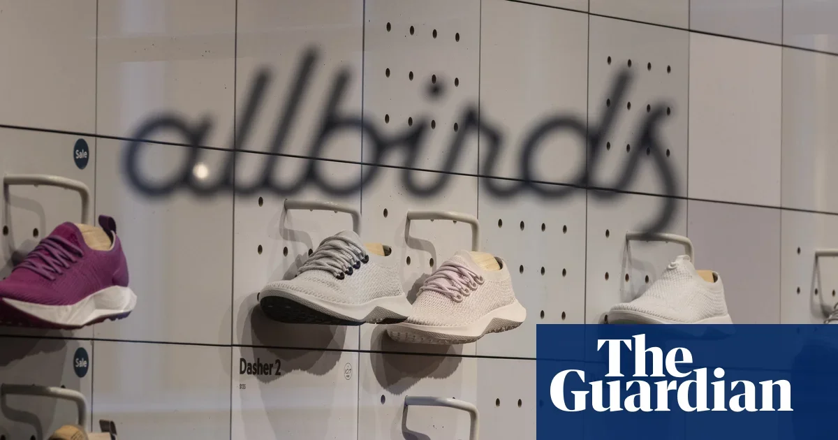 Allbirds pivots to AI, rebrands as NewBird AI, sparking rally in shares