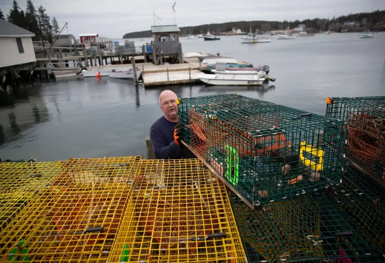 Canada Exempts Seafood from Tariffs, Saving Maine Lobster From Hit