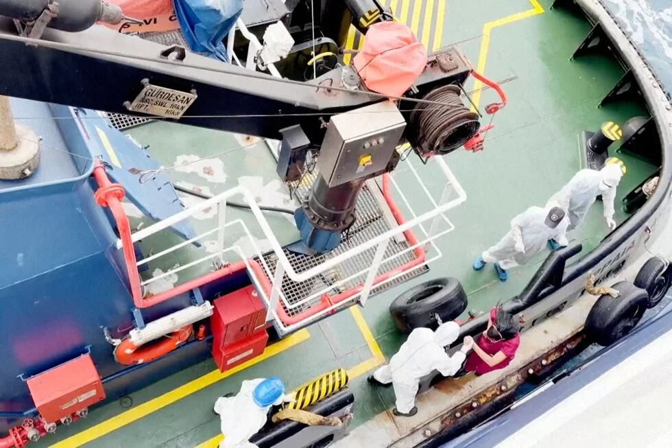 Weeks of mystery: hantavirus outbreak on cruise ship finally traced