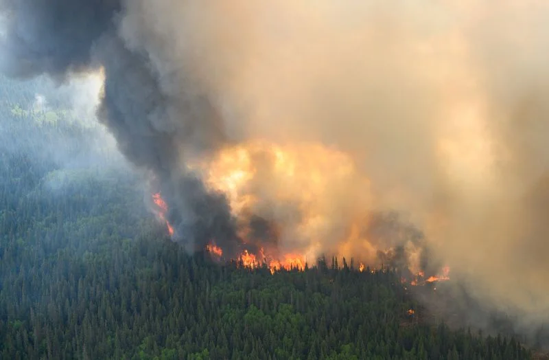 Canada Struggles to Recruit Firefighters Amid Intensifying Wildfires