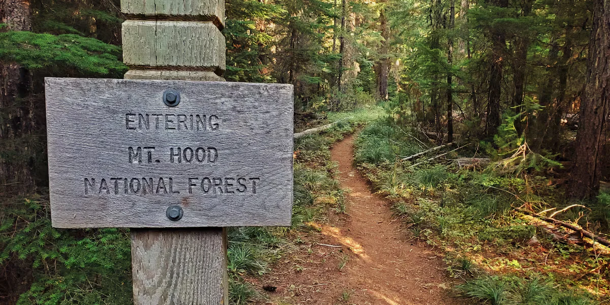 Administration pushes rollback of Clinton-era roadless protections on U.S. national forests