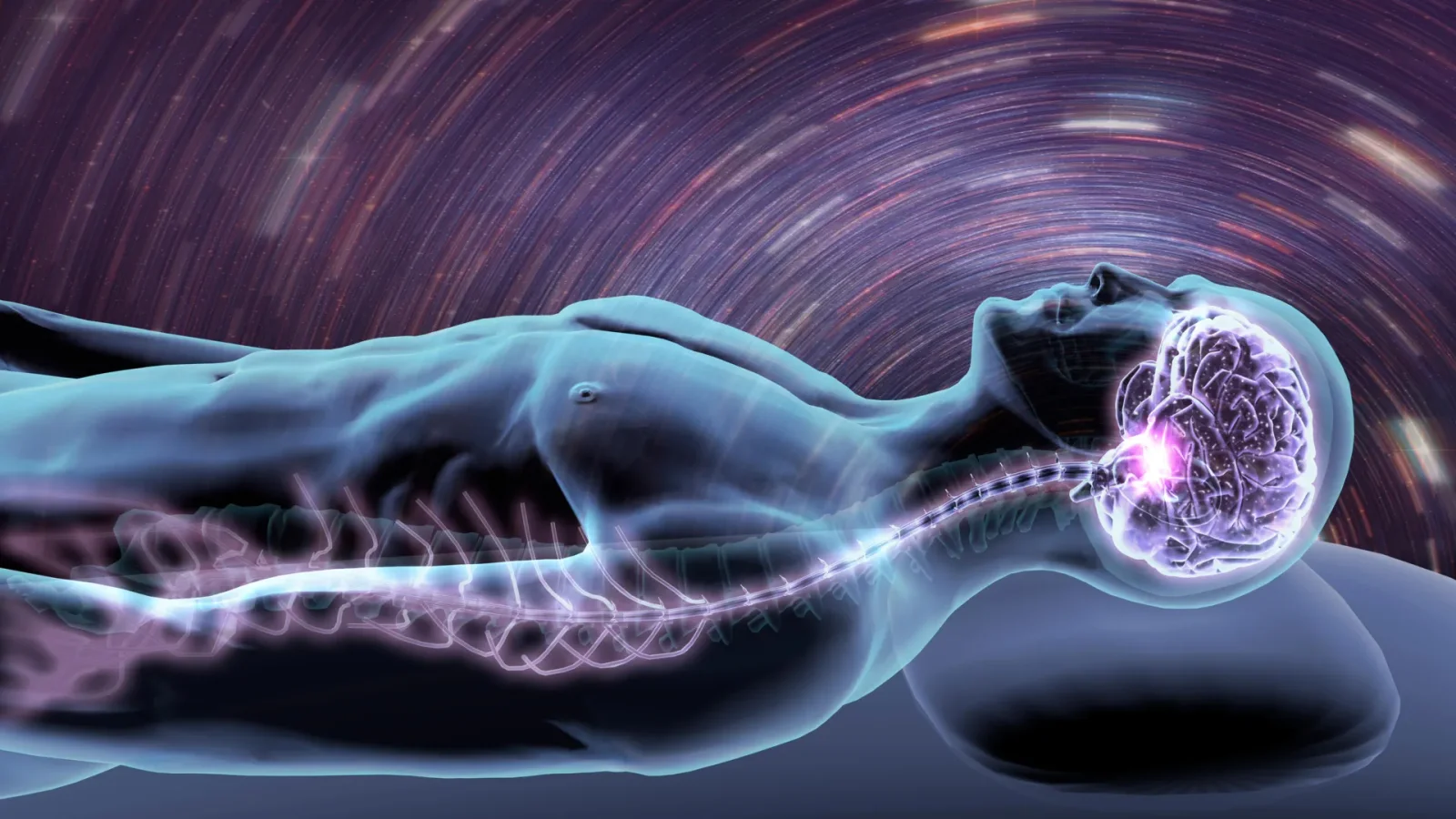 Restoring Sleep in Alzheimer’s Model by Suppressing Brain Immune Cells