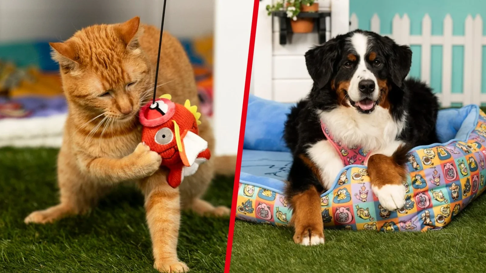 Pokémon Unleashes Playful Partners Pet Merch for Dogs and Cats