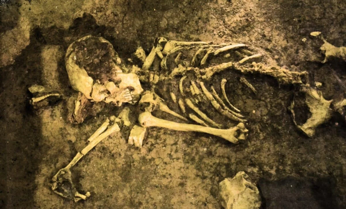 7,000-Year-Old Libyan Skeletons Uncover a Hidden North African Lineage