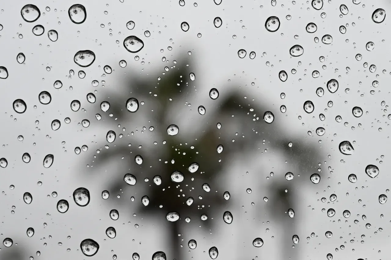 Changing Weather Patterns in Sacramento: Rain, Warmth, and Modest Warming Trend