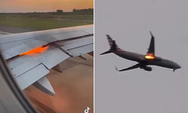 Airborne Emergencies: Fires, Flames, and Bird Strikes.