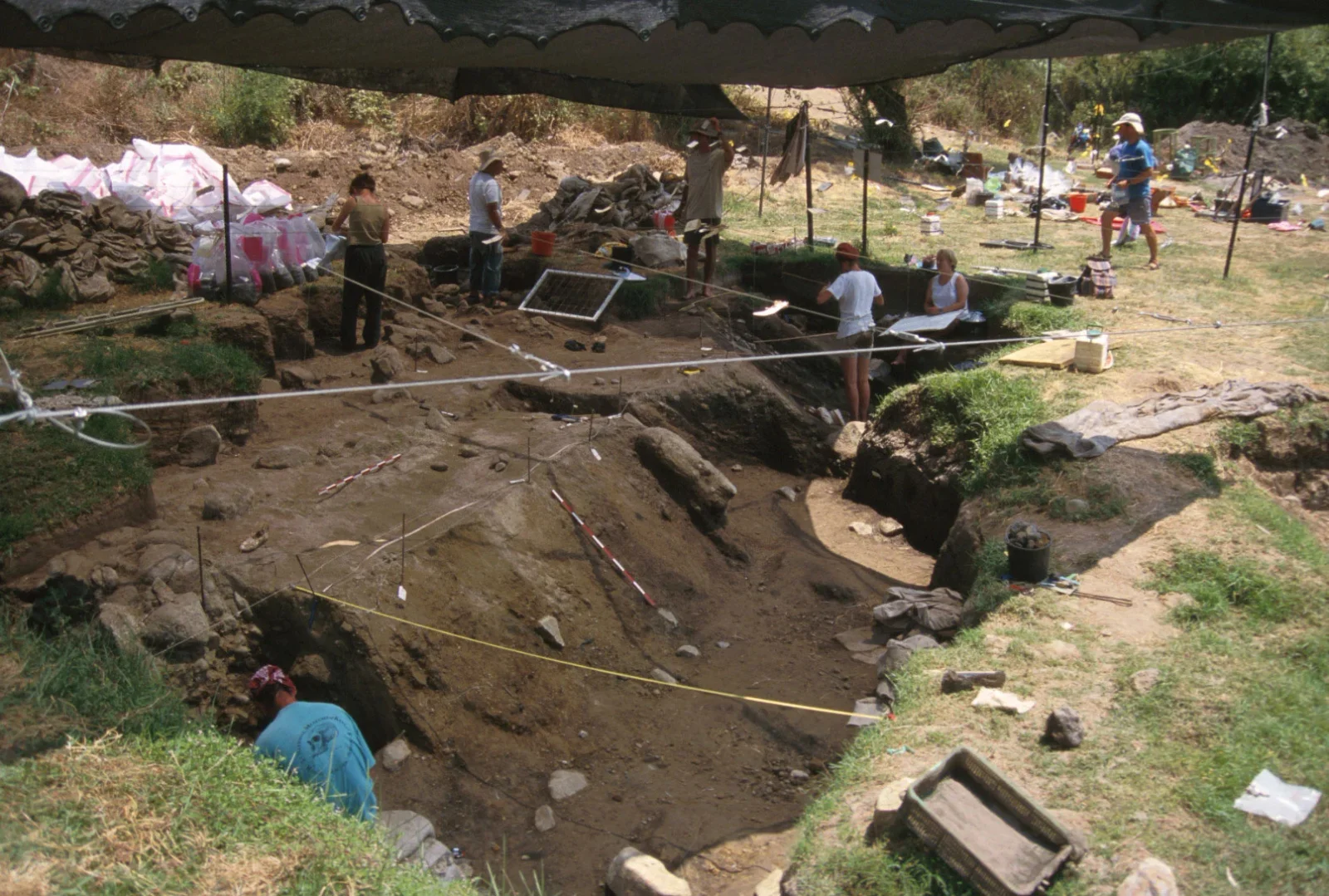 Ancient Lakeshore Driftwood Fueled 780,000-Year-Old Campfires