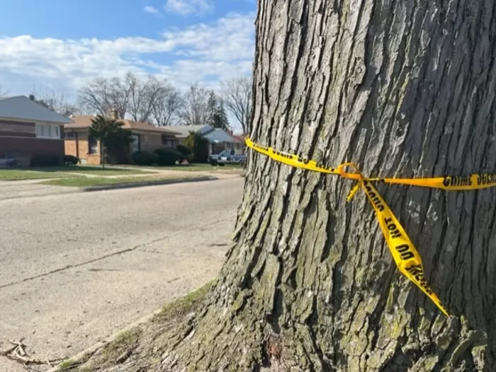 Multiple Teen Fatalities in Recent Shootings, Suspects in Custody