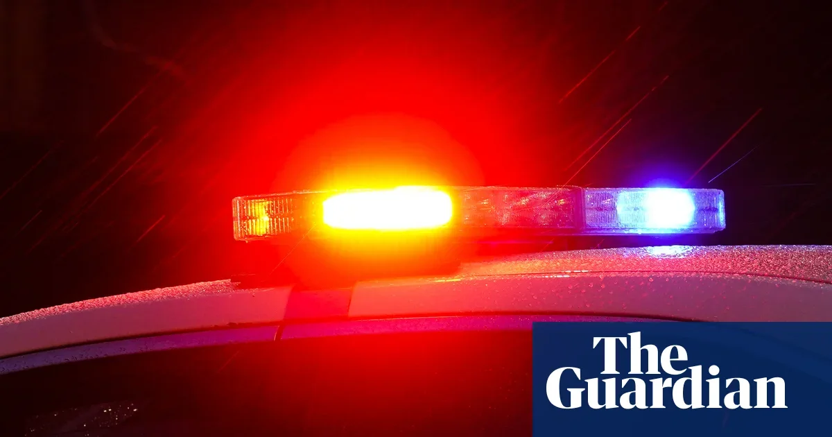 Colorado driver attempts to swap seats with dog to dodge DUI arrest