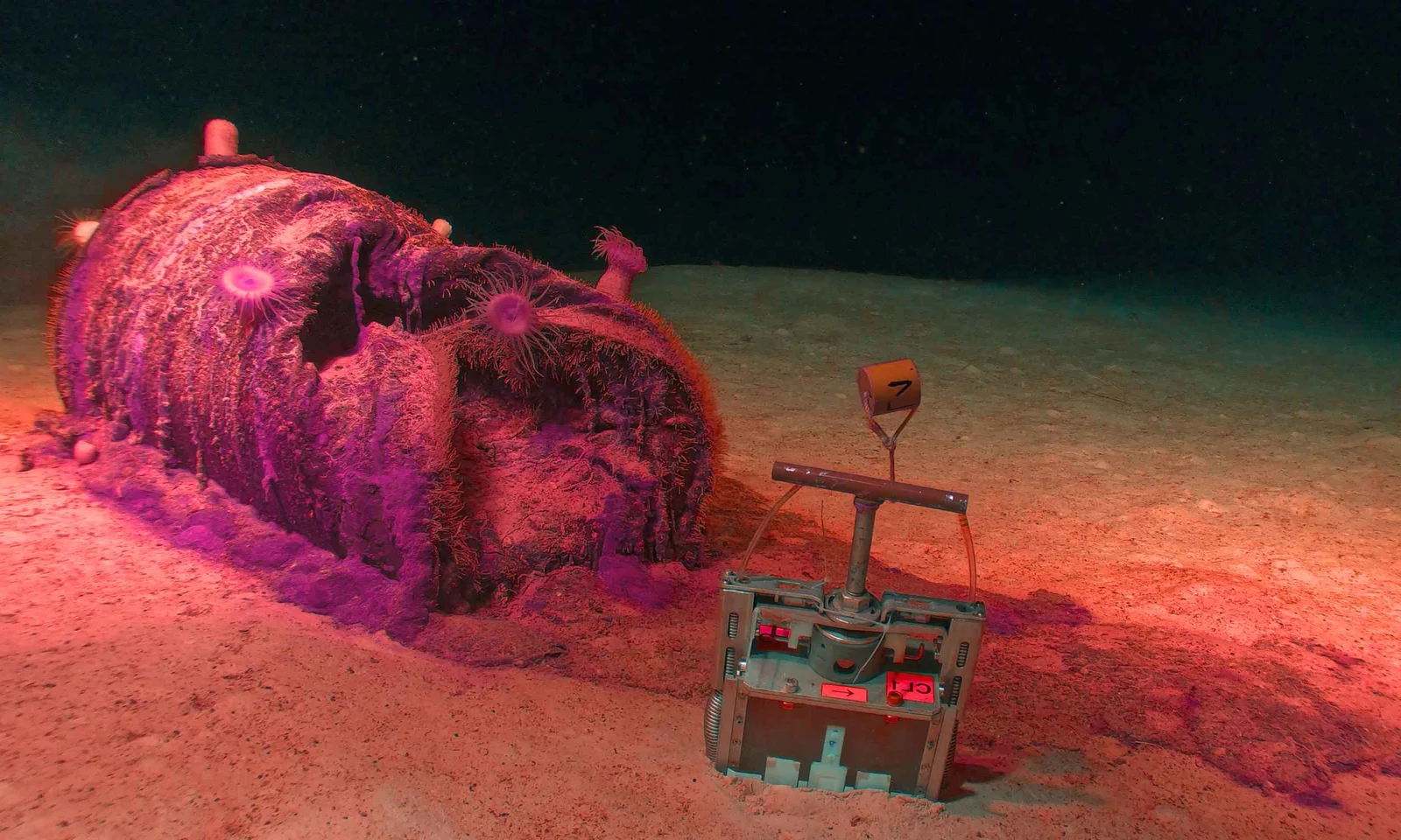 Deep Atlantic finds reveal 200,000 leaking radioactive waste barrels on the seafloor