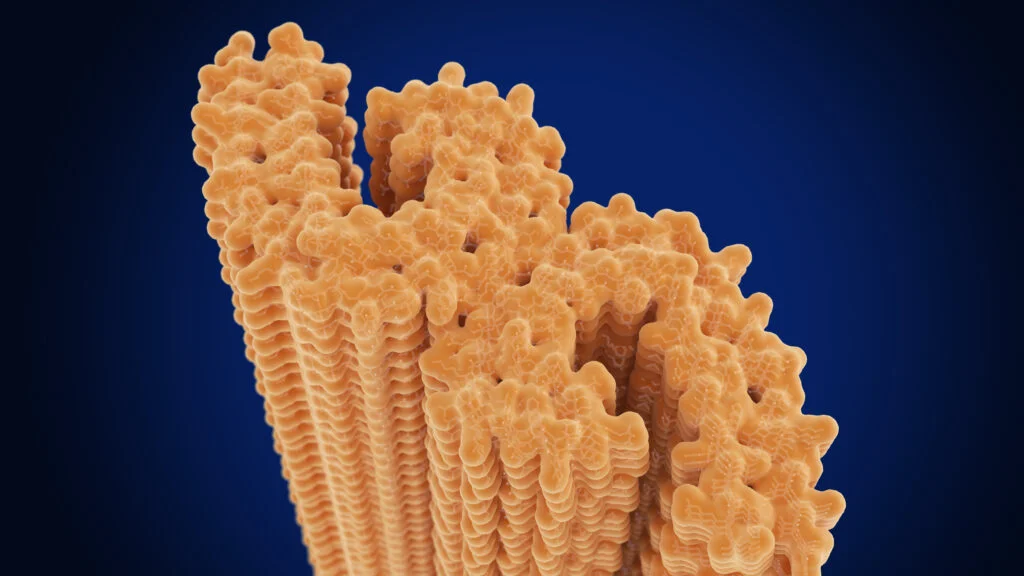 Biogen's Alzheimer's drug slows cognitive decline in midstage study, eyeing Phase 3