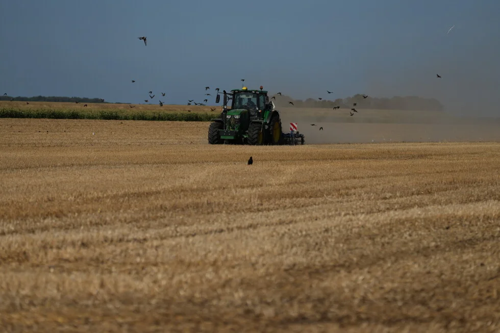 Heat waves deepen Europe's drought, shrinking crops from the Netherlands to the Balkans
