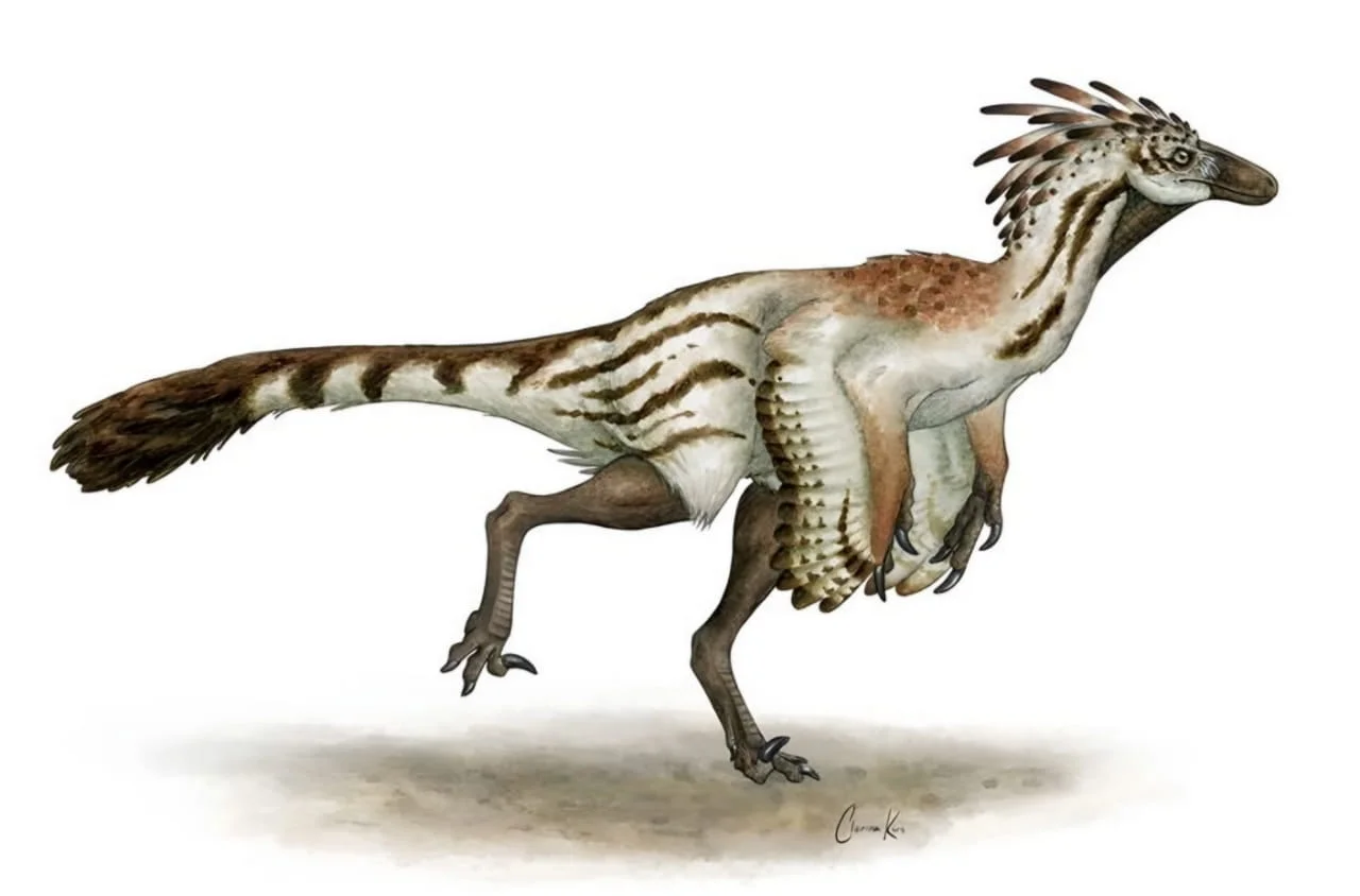 Tiny to towering: Montana Troodon fossils reveal full growth from embryo to adult