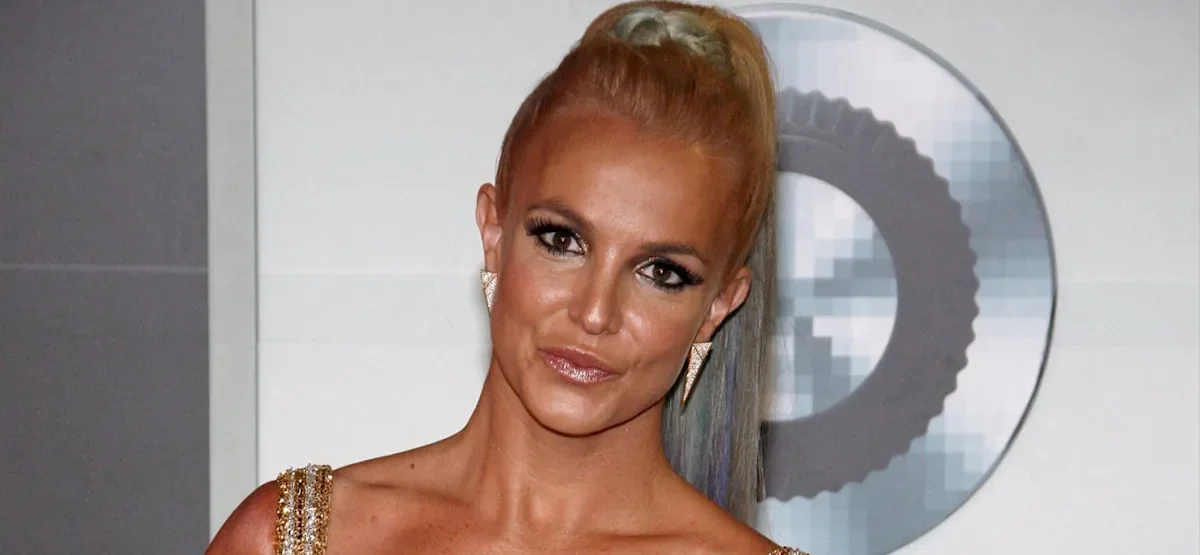 Britney Spears Triggers Safety Debate With Sunroof Freeway Moment