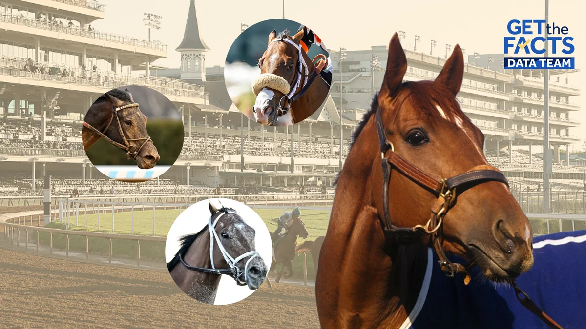 Secretariat's bloodline threads through nearly every 2026 Kentucky Derby entrant