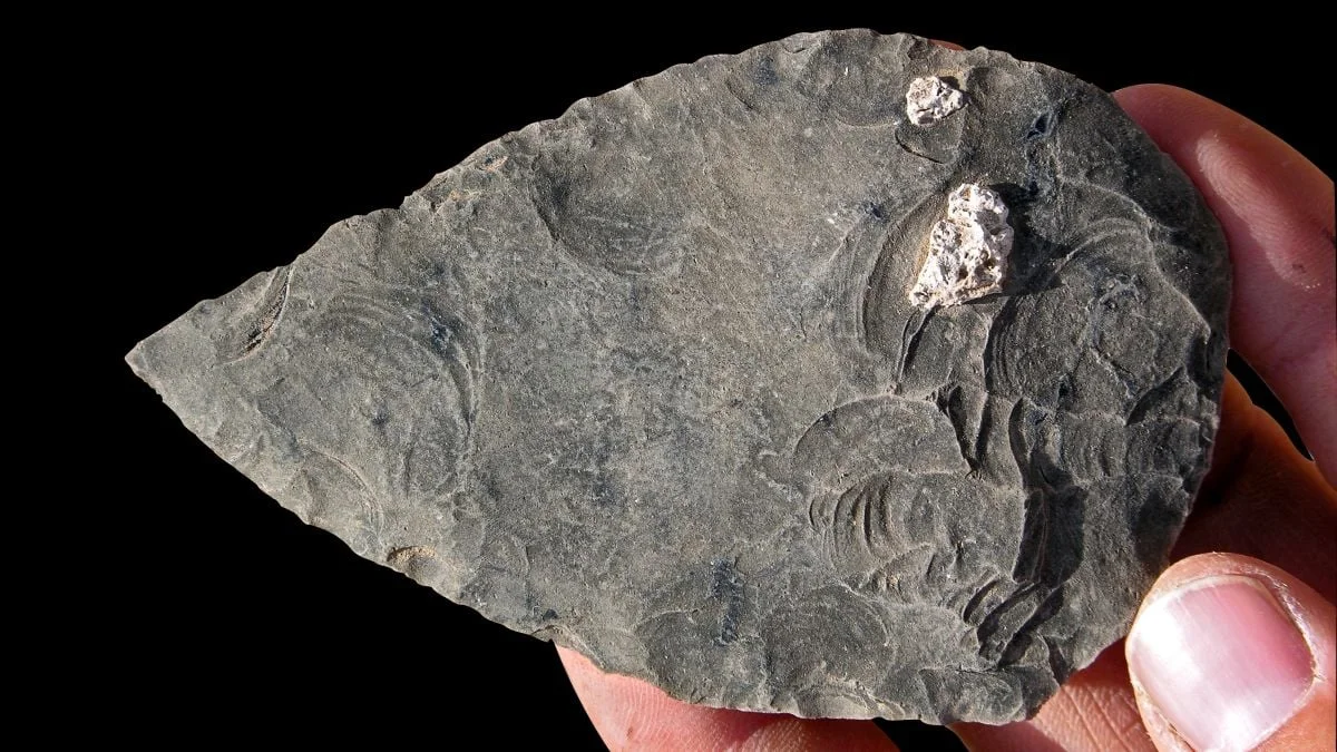 Open-Air Ethiopian Site Reveals 100,000-Year-Old Humans and Diverse Deaths