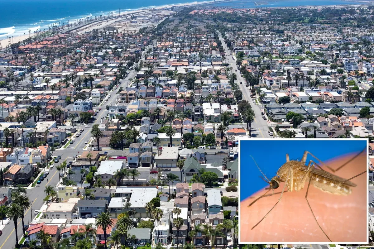 Orange County Faces West Nile Surge as Mosquito Sprays Roll Out