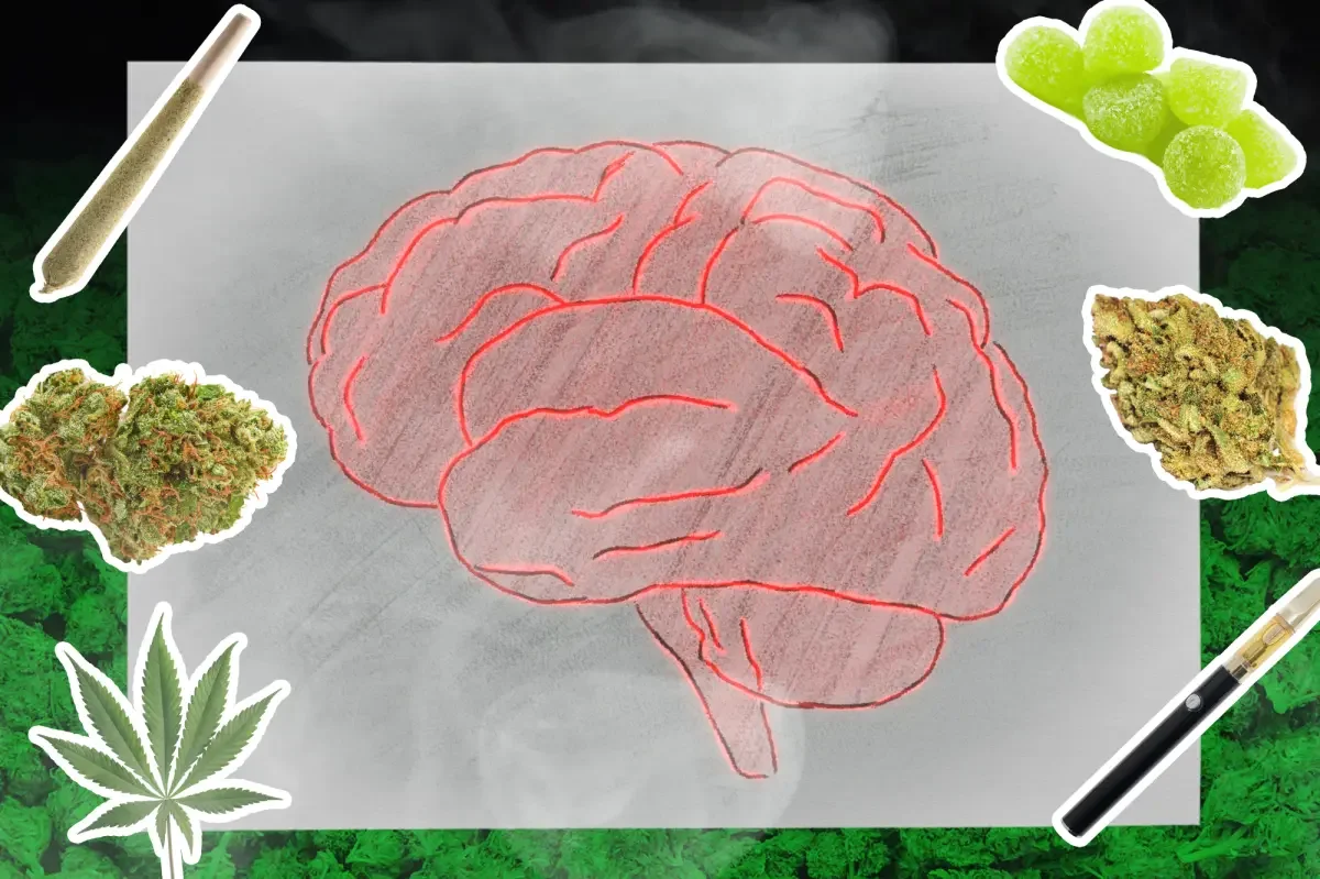 Large brain-imaging review ties regular cannabis use to brain function changes