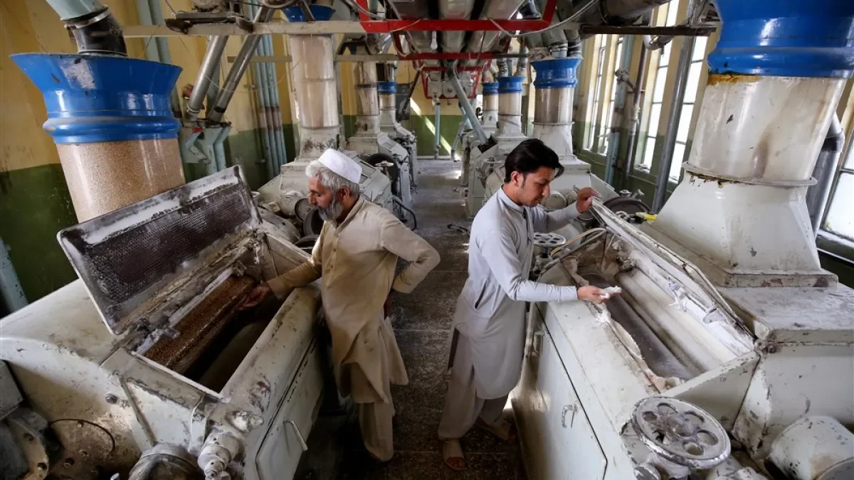 Pakistan's economy faces slump and rising inflation, warns IMF.