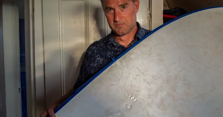 Calm Amid the Bite: Moonstone Beach Surfer Survives a Close Shark Encounter