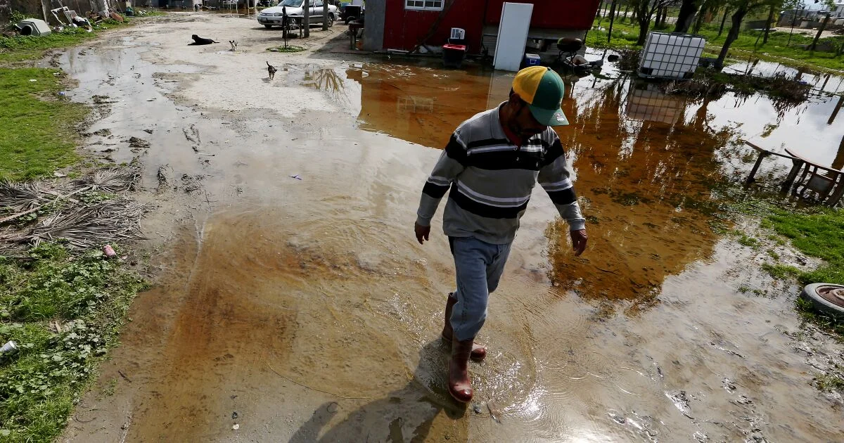 Mosquito Infestation Threatens California Due to Heavy Rains