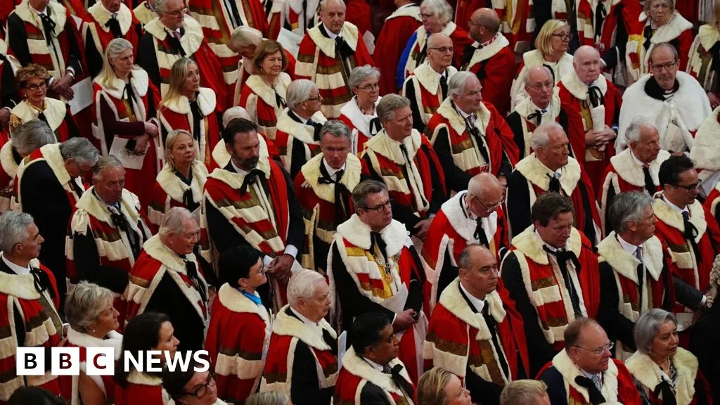 Lords weigh 80-year retirement and 20% attendance rule