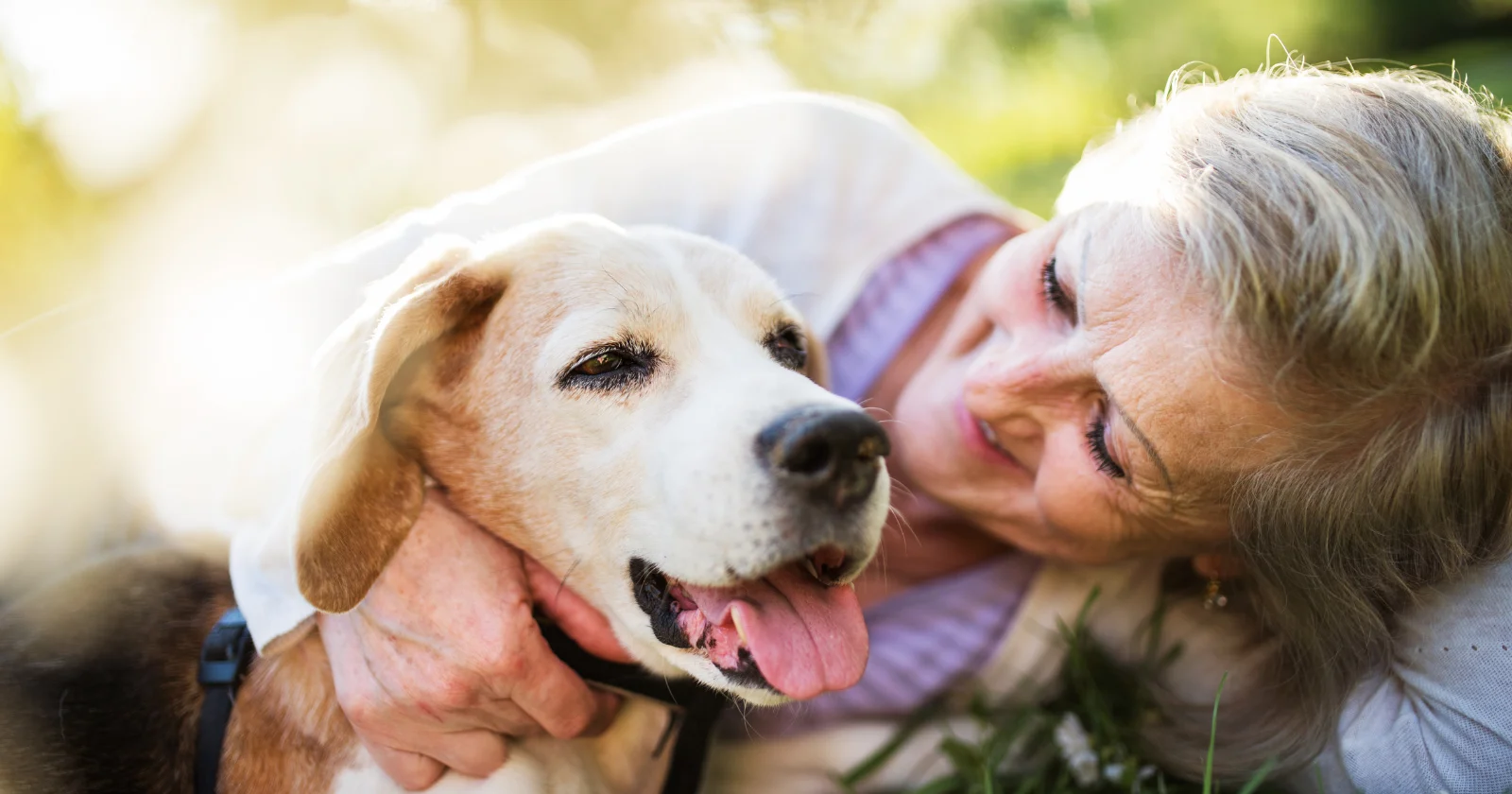 Dogs and Longevity: Big Benefits for Those Living Alone