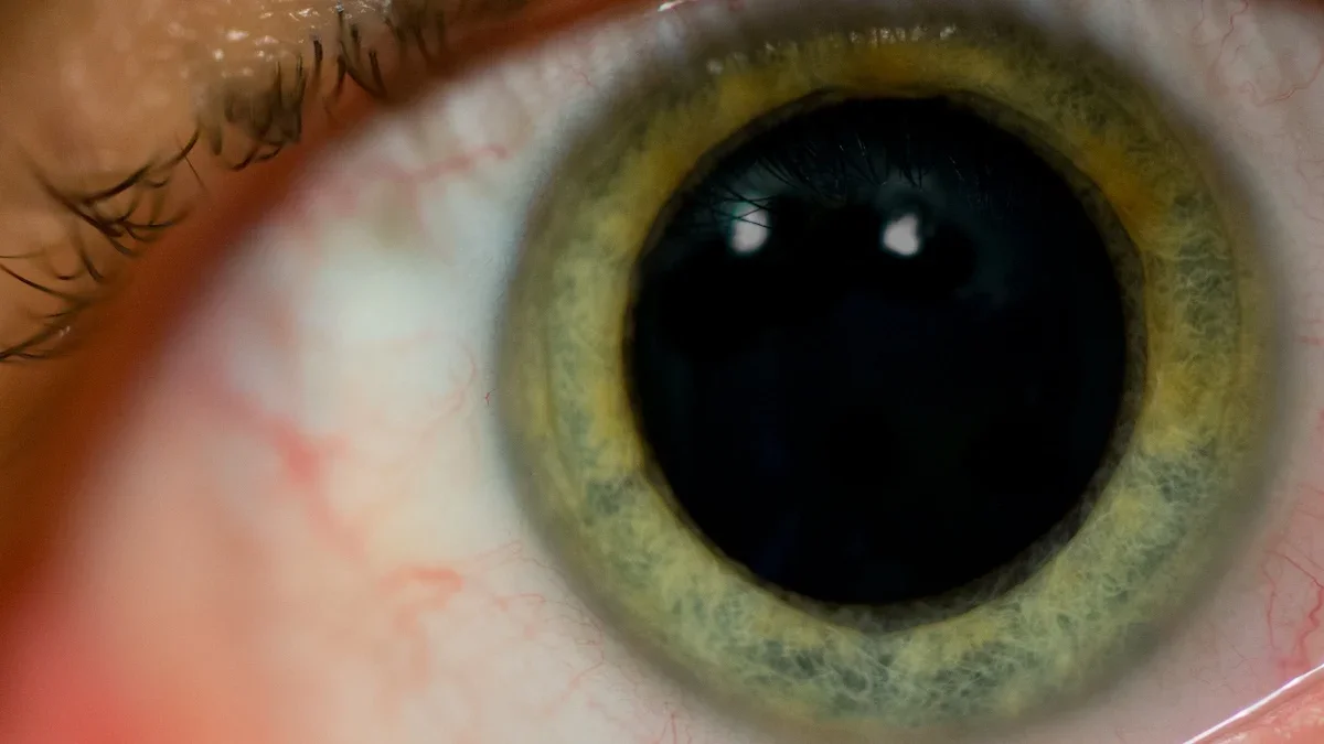 Surprise-Induced Pupil Dilation Signals the Brain to Refresh and Learn Faster