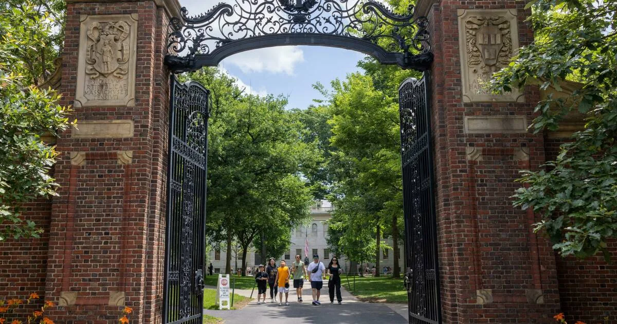Harvard Sets A-Grade Cap to Sharpen Transcript Signals