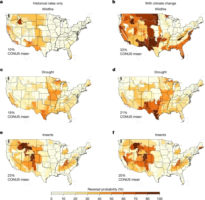 Climate-driven risks reveal forest carbon buffers are far too small