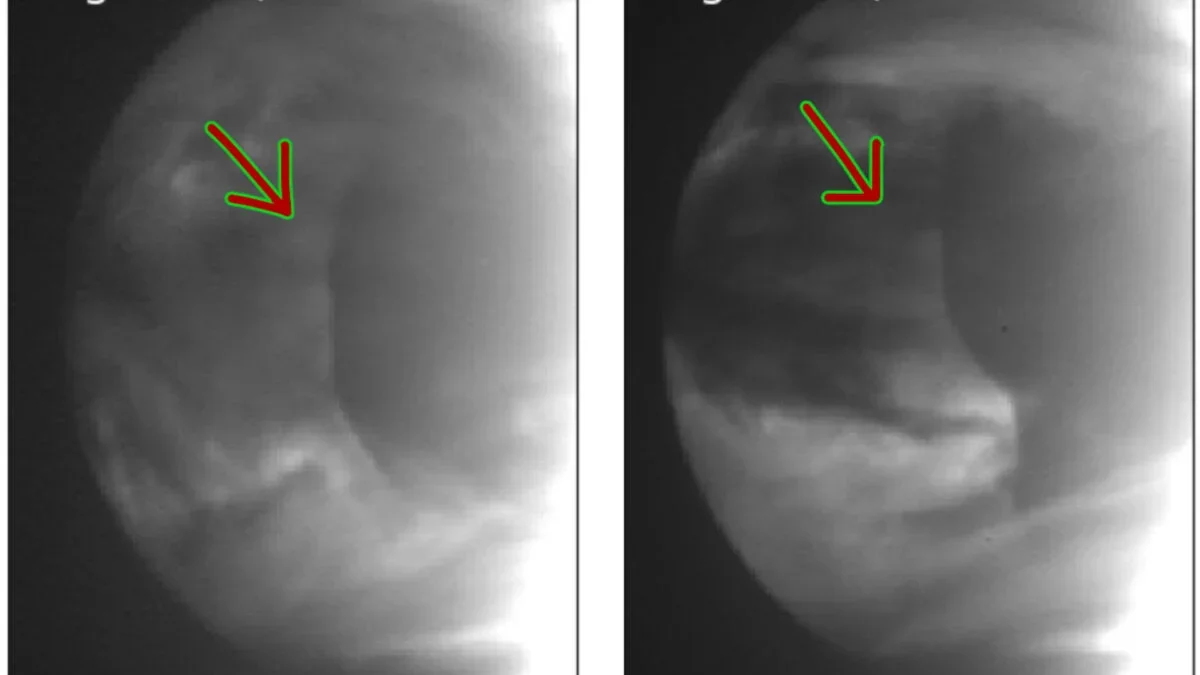 Venus Cloud Waves Solved by a Planet-Scale Hydraulic Jump
