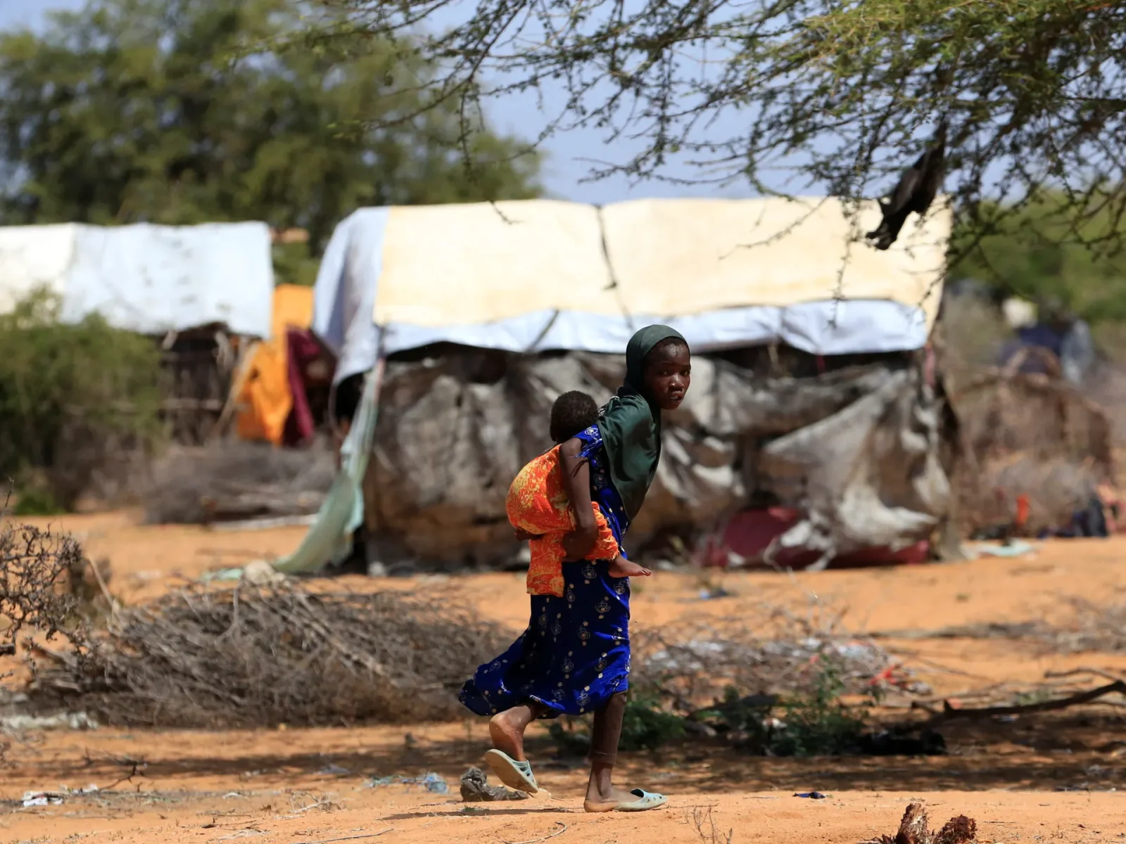 Somalia Drought Claims 43,000 Lives in 2022: UN Report