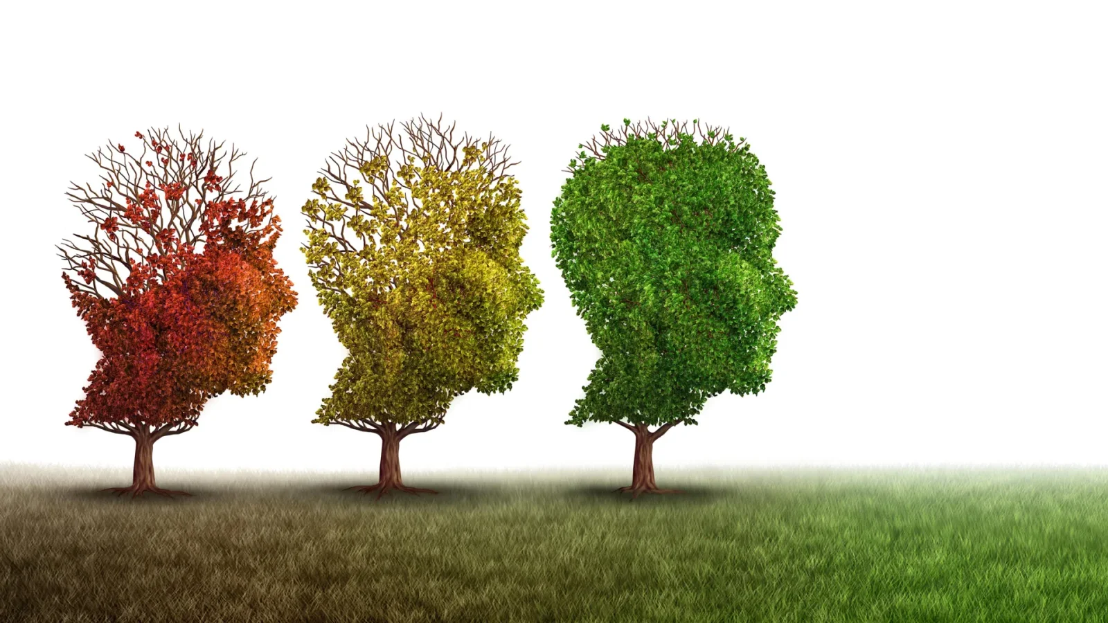 Copper Drug Reboots Brain Cleanup, Reduces Alzheimer's Toxins and Restores Memory in Lab Study