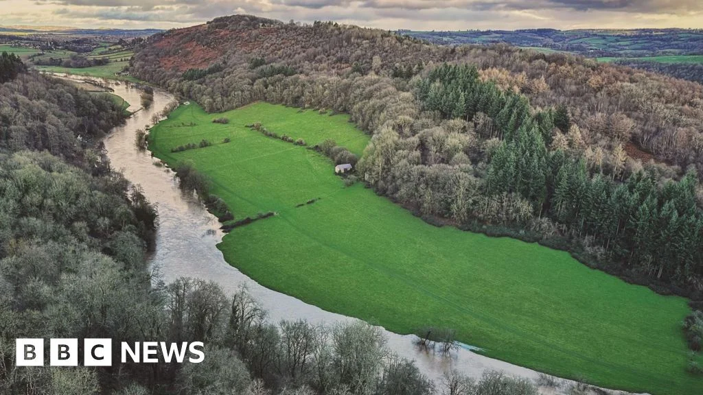 Landmark High Court bid blames poultry farming and sewage for River Wye pollution