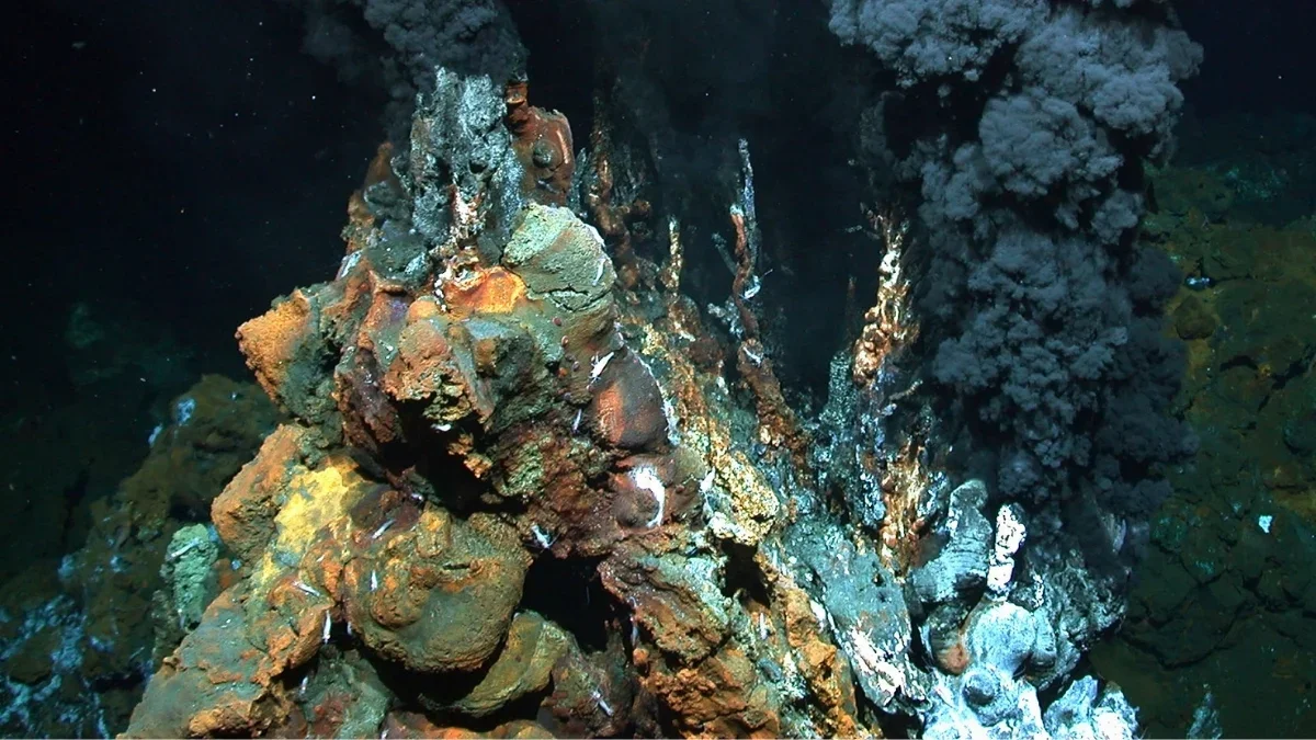 Japan Seafloor Gold Hits Record Levels, Sparking Deep-Sea Mining Debate