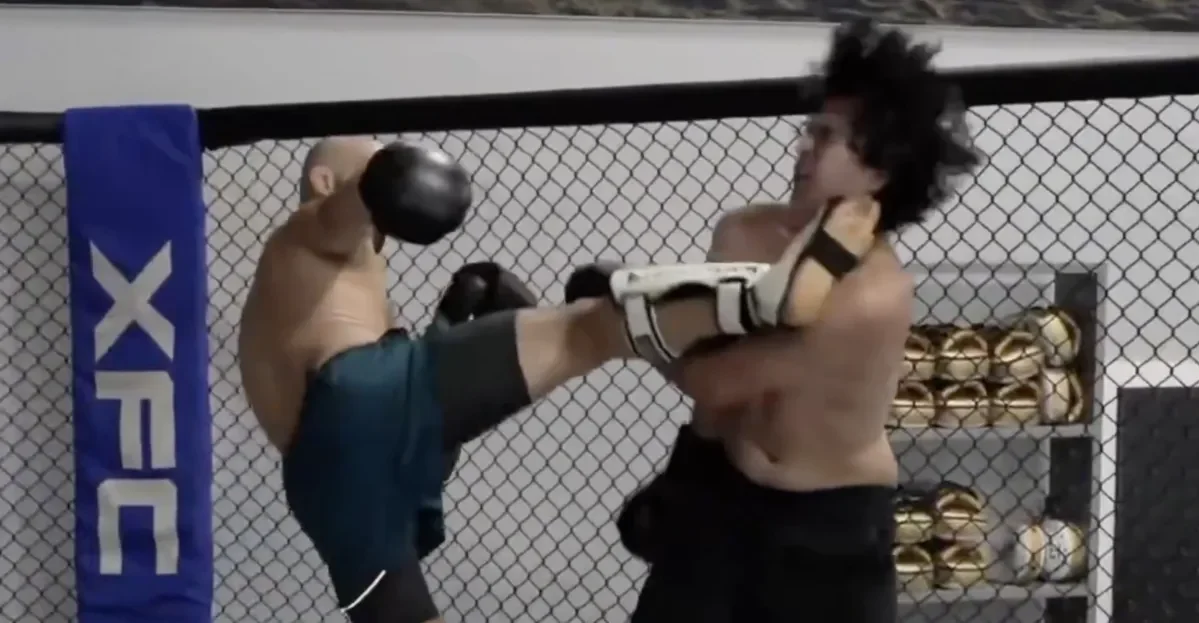 Gordon ends spar with a head kick to online taunter on stream