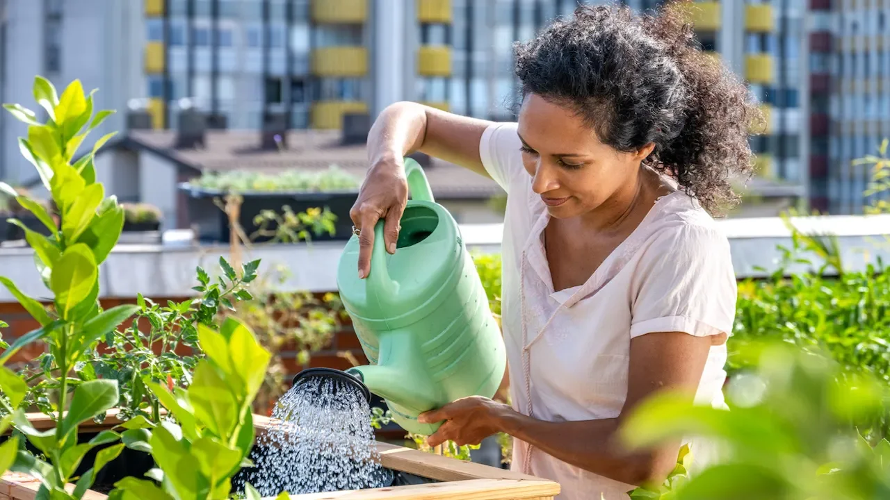 Gardening: A Path to Wellness