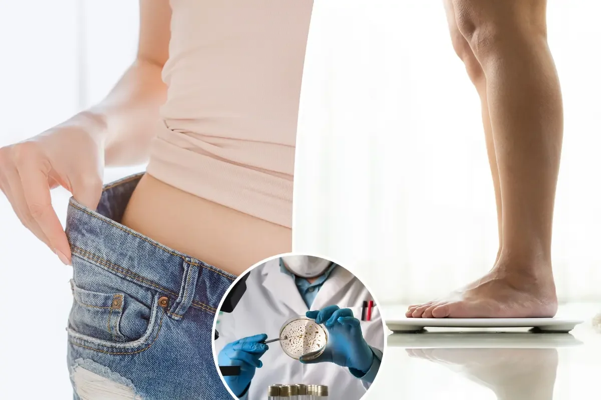 Protein Mitch Reprograms Fat Metabolism, Hinting at Next-Gen Obesity Therapies