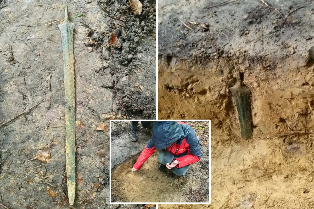 Ancient Bronze Sword Stands Upright in Polish Forest, Baffling Researchers