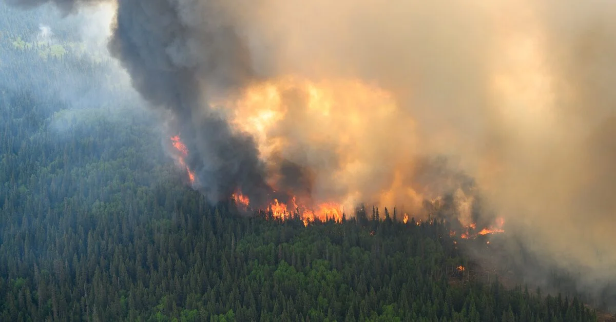 Canada Struggles to Recruit Firefighters Amid Intensifying Wildfires