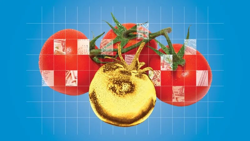 Tomatoes spike on weather, tariffs and fuel costs squeezing supply