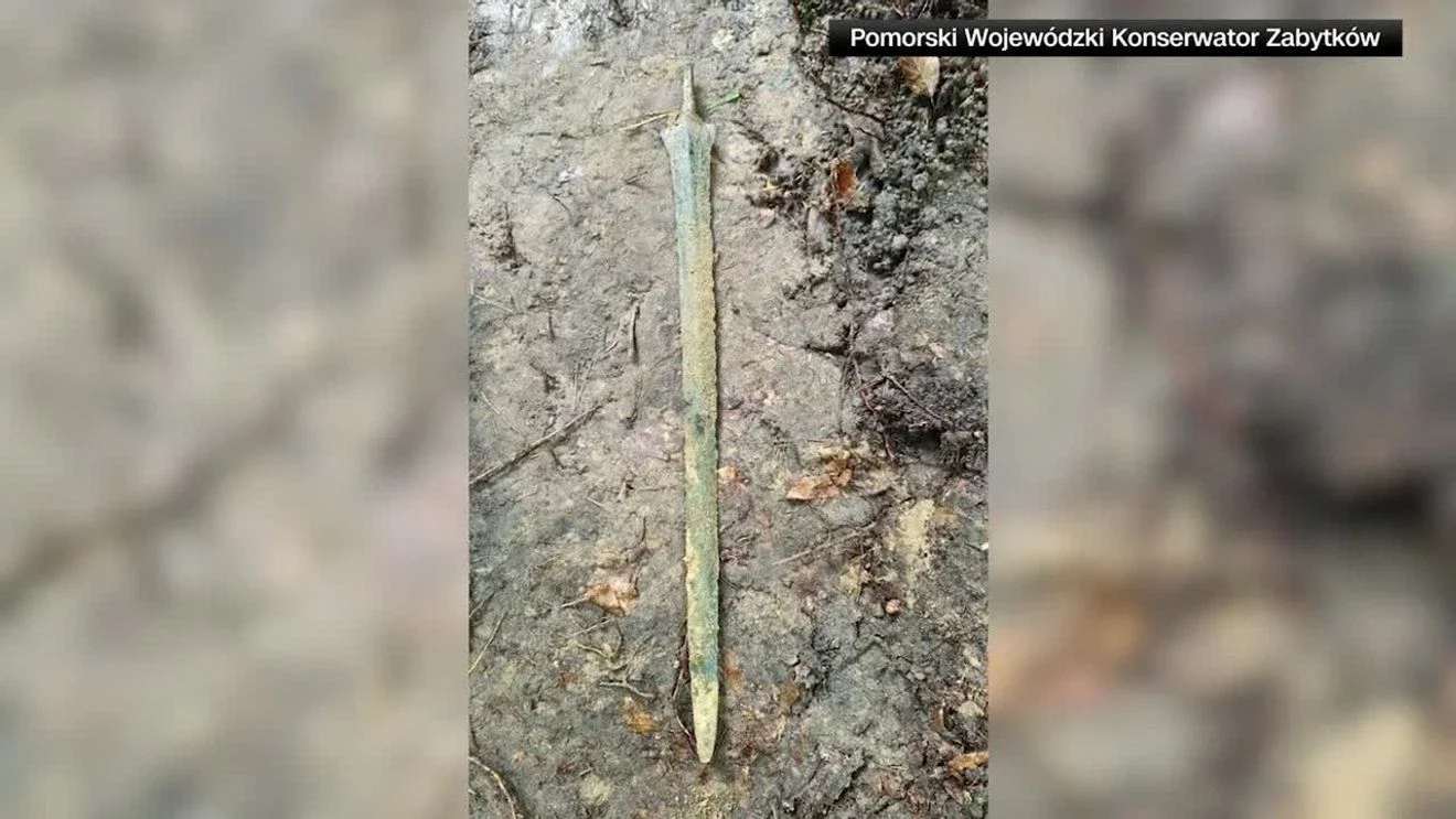 Ancient Bronze Sword Unearthed in Polish Forest by Hobbyist