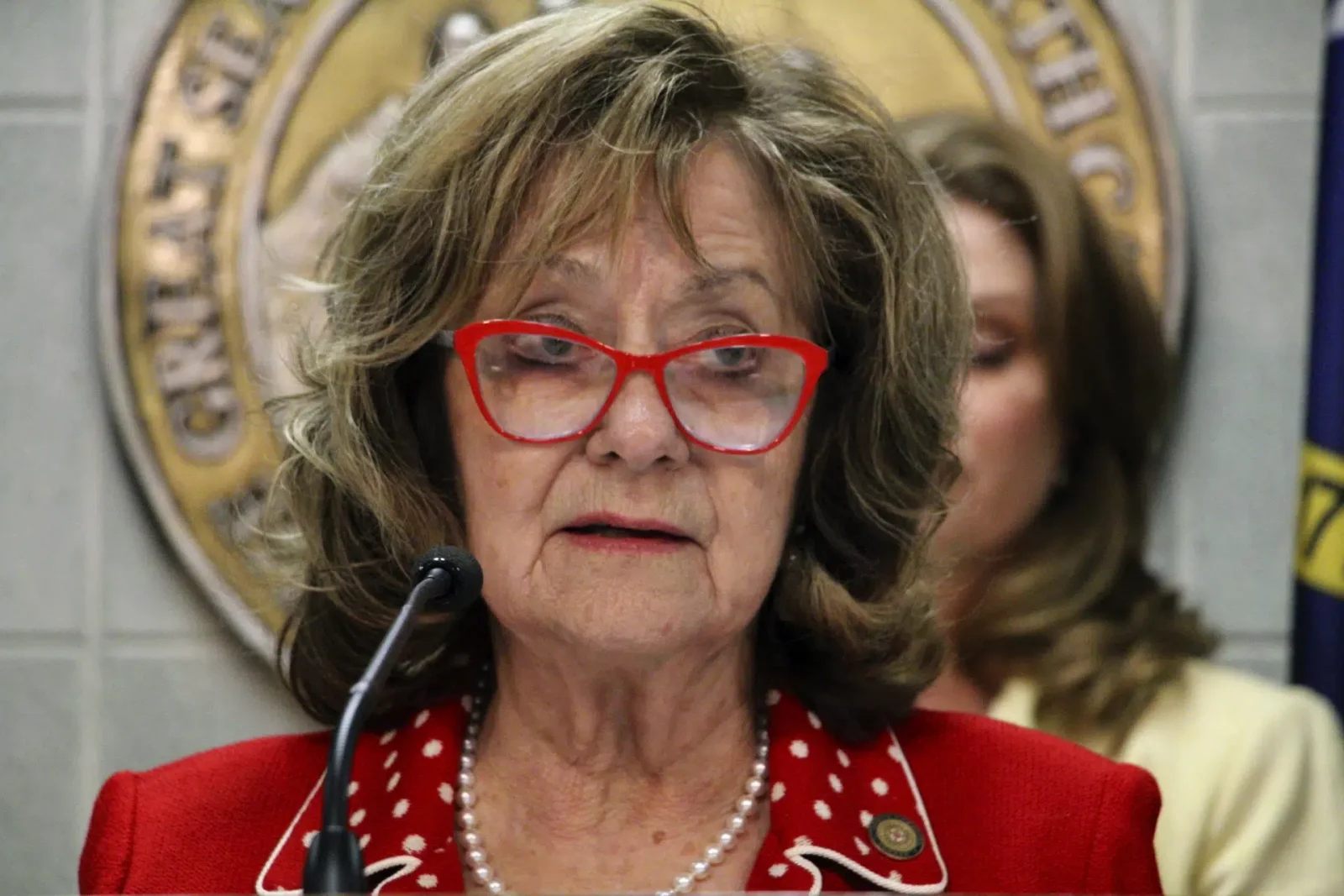 North Carolina Republicans propose 12-week abortion ban.