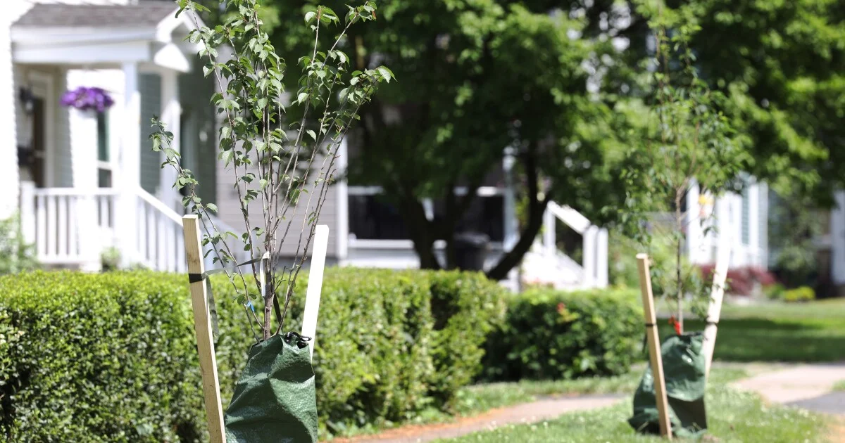 Fairport Tops New York's Hottest Housing Market, Spotlighting Rochester's 14450 ZIP