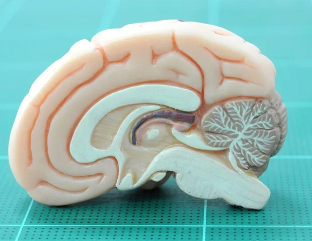 Traveling brain waves may orchestrate thought and consciousness