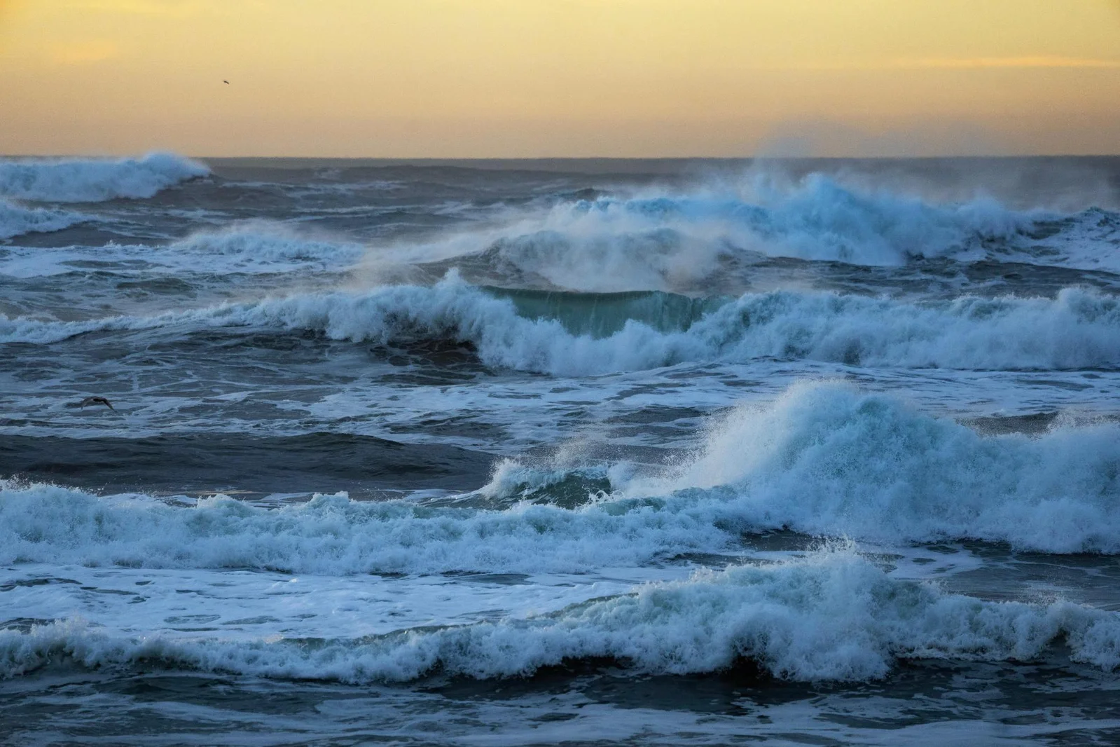 Two Men Found Dead After Midnight Canoe Outing in Tomales Bay