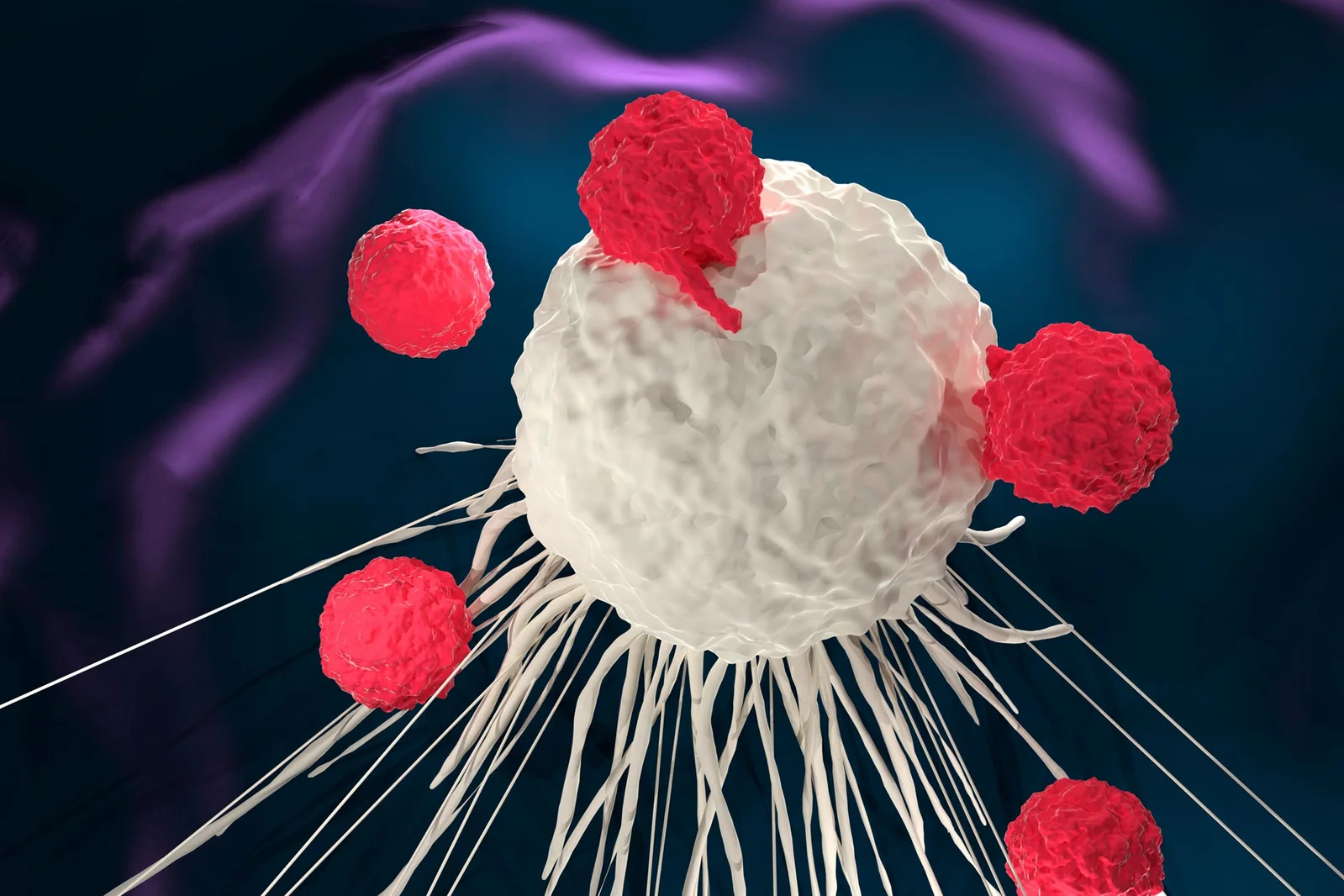 UCLA Researchers Find E2F3 as a Target in RB-Deficient Cancers